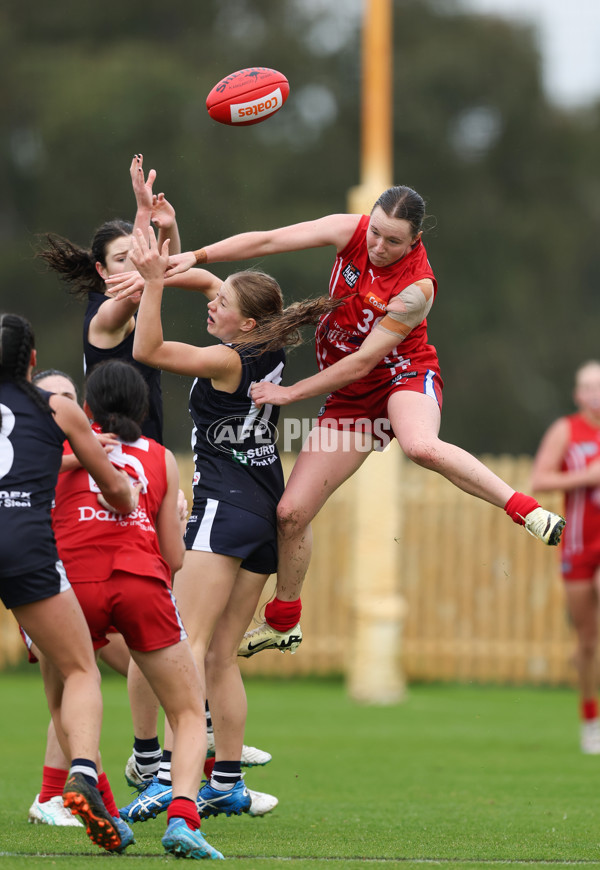 Coates League Girls 2024 Round 07 - Geelong v Gippland - A-49519691