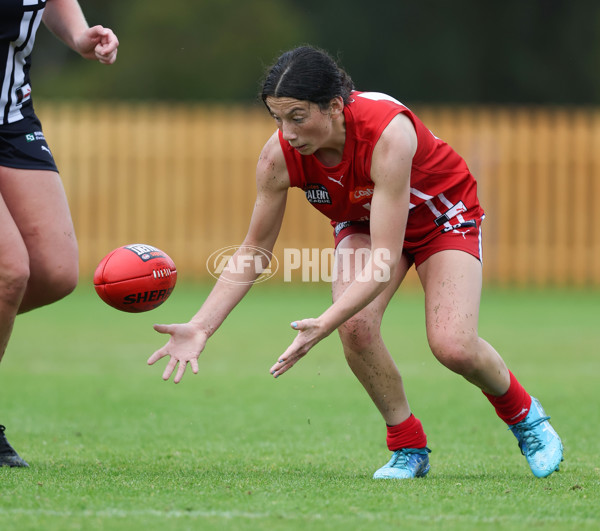 Coates League Girls 2024 Round 07 - Geelong v Gippland - A-49519692