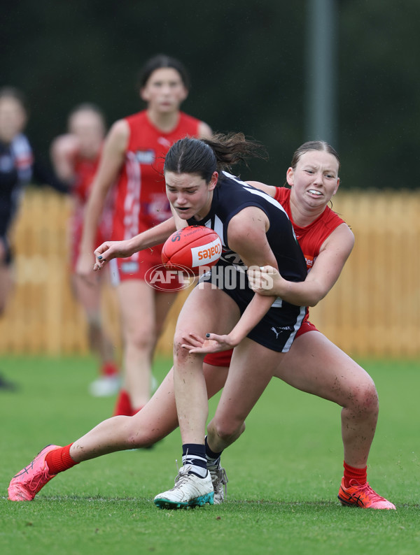 Coates League Girls 2024 Round 07 - Geelong v Gippland - A-49521245