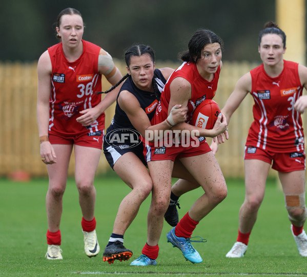 Coates League Girls 2024 Round 07 - Geelong v Gippland - A-49521247