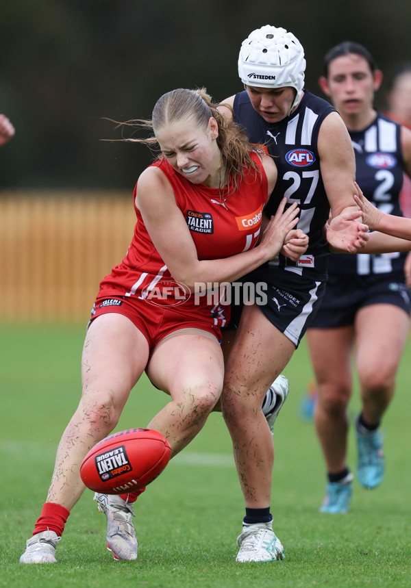 Coates League Girls 2024 Round 07 - Geelong v Gippland - A-49521287