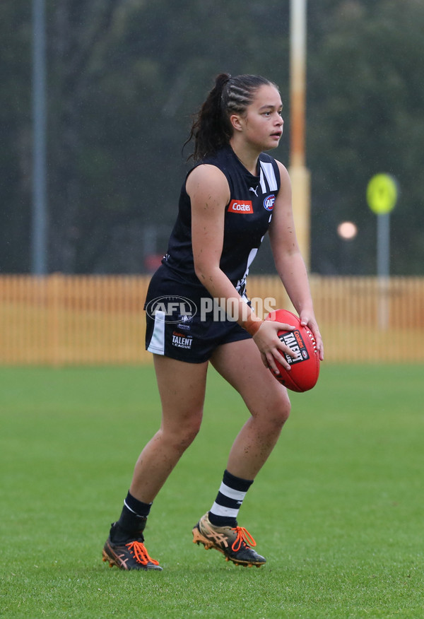 Coates League Girls 2024 Round 07 - Geelong v Gippland - A-49522158