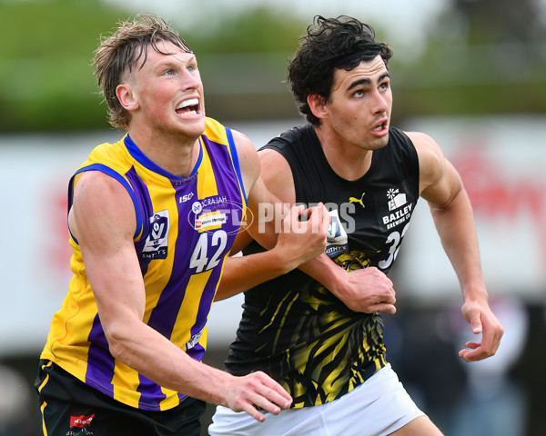 VFL 2024 Round 08 - Sandringham v Richmond - A-49524715