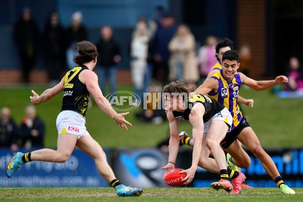 VFL 2024 Round 08 - Sandringham v Richmond - A-49526076