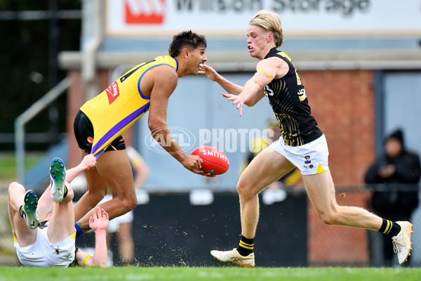 VFL 2024 Round 08 - Sandringham v Richmond - A-49526081