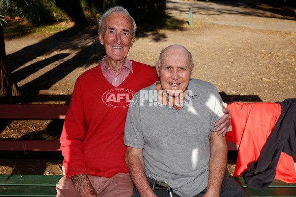 AFL 2024 Training - Sydney 220524 - A-49605993