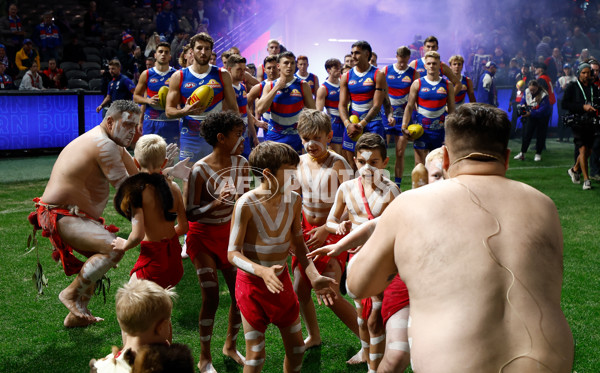 AFL 2024 Round 11 - Western Bulldogs v Sydney - A-49613369