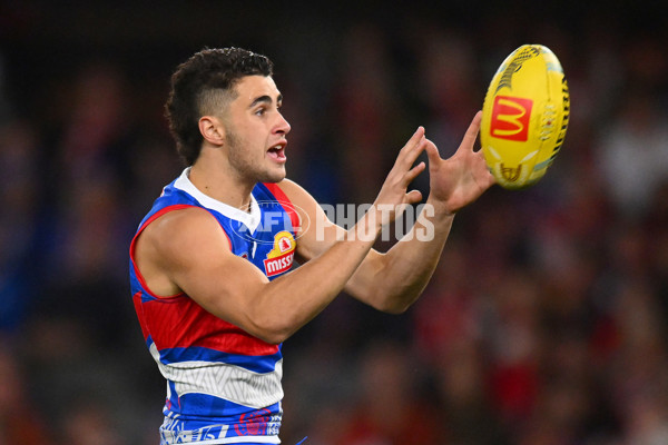 AFL 2024 Round 11 - Western Bulldogs v Sydney - A-49616859