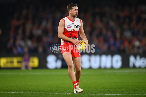 AFL 2024 Round 11 - Western Bulldogs v Sydney - A-49622121