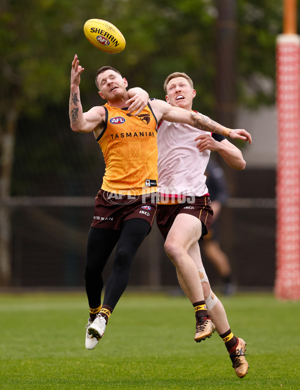 AFL 2024 Training - Hawthorn 240524 - A-49624493