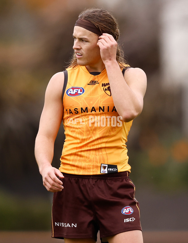 AFL 2024 Training - Hawthorn 240524 - A-49624499