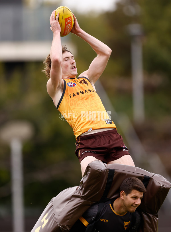 AFL 2024 Training - Hawthorn 240524 - A-49624504