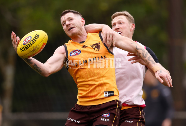 AFL 2024 Training - Hawthorn 240524 - A-49624784