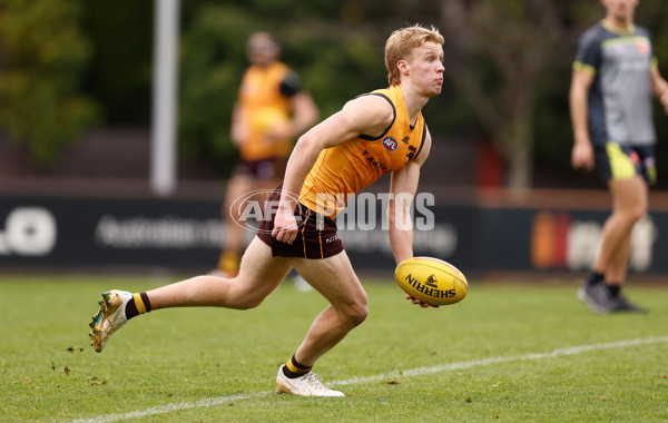 AFL 2024 Training - Hawthorn 240524 - A-49624792