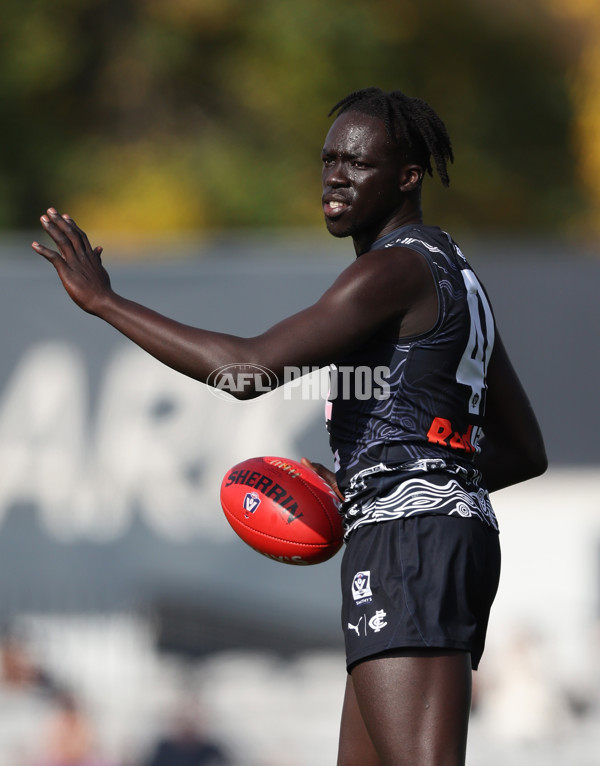 VFL 2024 Round 09 - Carlton v Gold Coast - A-49640448