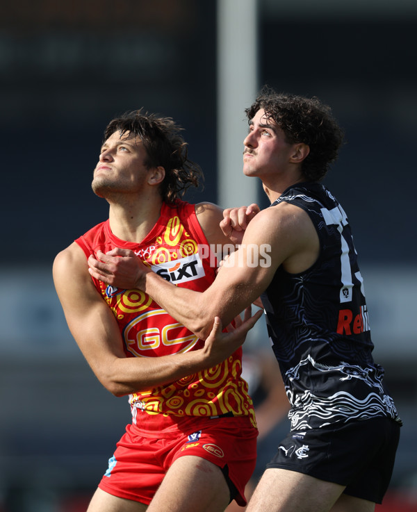 VFL 2024 Round 09 - Carlton v Gold Coast - A-49640449