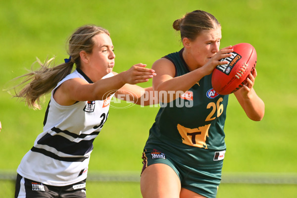 Coates Talent League U18 Girls 2024 Round 08 - Northern Knights v Tasmania Devils - A-49642451