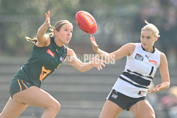 Coates Talent League U18 Girls 2024 Round 08 - Northern Knights v Tasmania Devils - A-49642457