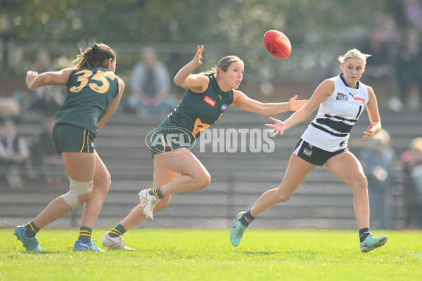 Coates Talent League U18 Girls 2024 Round 08 - Northern Knights v Tasmania Devils - A-49642458