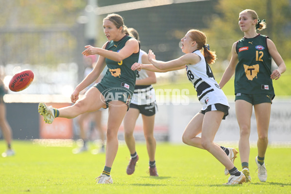 Coates Talent League U18 Girls 2024 Round 08 - Northern Knights v Tasmania Devils - A-49642459