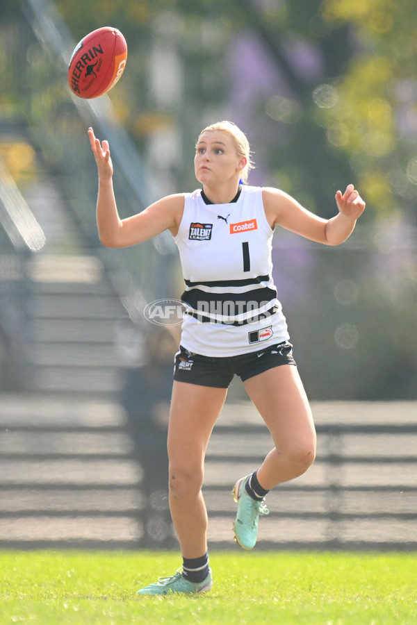 Coates Talent League U18 Girls 2024 Round 08 - Northern Knights v Tasmania Devils - A-49642460