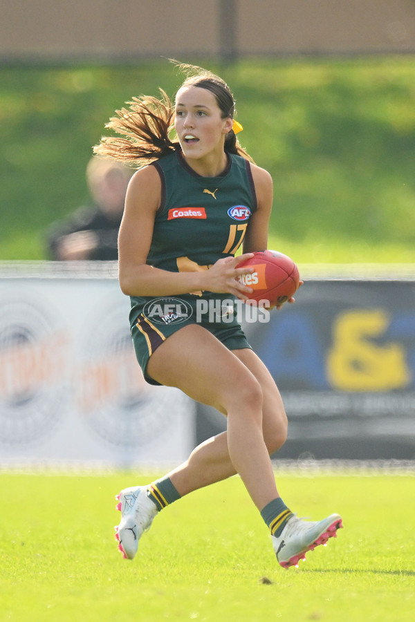 Coates Talent League U18 Girls 2024 Round 08 - Northern Knights v Tasmania Devils - A-49642462