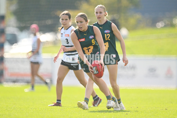 Coates Talent League U18 Girls 2024 Round 08 - Northern Knights v Tasmania Devils - A-49642463