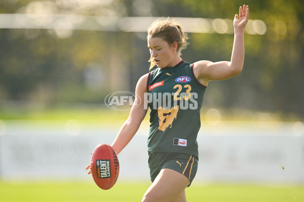 Coates Talent League U18 Girls 2024 Round 08 - Northern Knights v Tasmania Devils - A-49642832