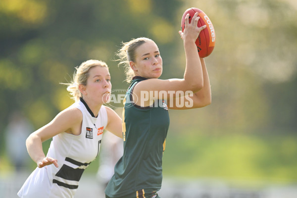 Coates Talent League U18 Girls 2024 Round 08 - Northern Knights v Tasmania Devils - A-49642834