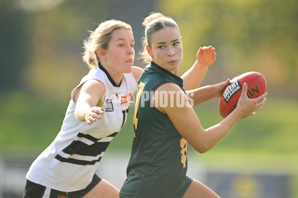 Coates Talent League U18 Girls 2024 Round 08 - Northern Knights v Tasmania Devils - A-49642836