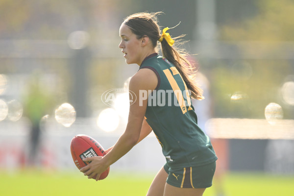 Coates Talent League U18 Girls 2024 Round 08 - Northern Knights v Tasmania Devils - A-49642840