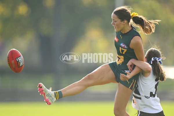 Coates Talent League U18 Girls 2024 Round 08 - Northern Knights v Tasmania Devils - A-49642842