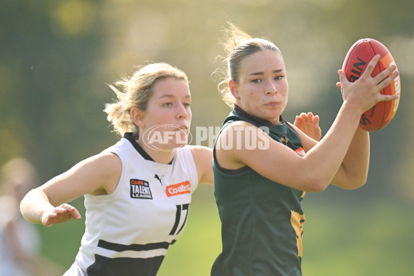 Coates Talent League U18 Girls 2024 Round 08 - Northern Knights v Tasmania Devils - A-49642843