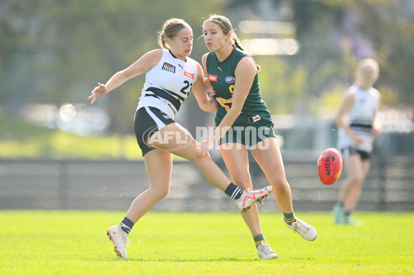 Coates Talent League U18 Girls 2024 Round 08 - Northern Knights v Tasmania Devils - A-49642861