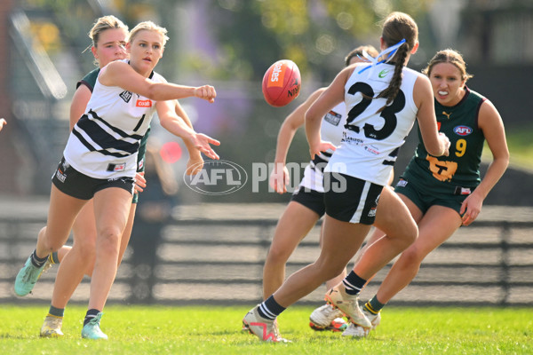 Coates Talent League U18 Girls 2024 Round 08 - Northern Knights v Tasmania Devils - A-49642862