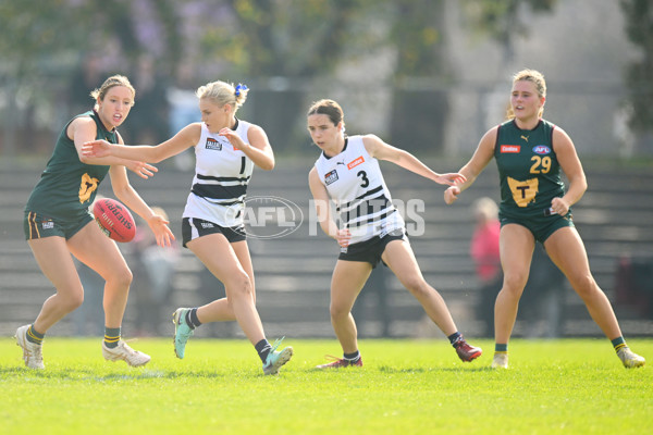 Coates Talent League U18 Girls 2024 Round 08 - Northern Knights v Tasmania Devils - A-49642863