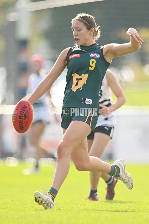 Coates Talent League U18 Girls 2024 Round 08 - Northern Knights v Tasmania Devils - A-49642865