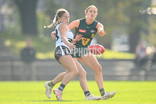 Coates Talent League U18 Girls 2024 Round 08 - Northern Knights v Tasmania Devils - A-49642867