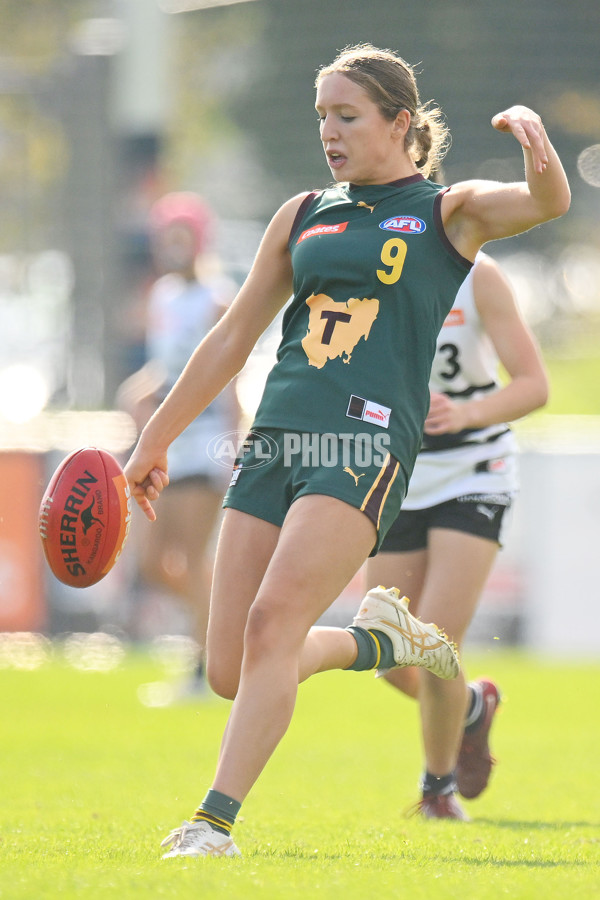 Coates Talent League U18 Girls 2024 Round 08 - Northern Knights v Tasmania Devils - A-49642869