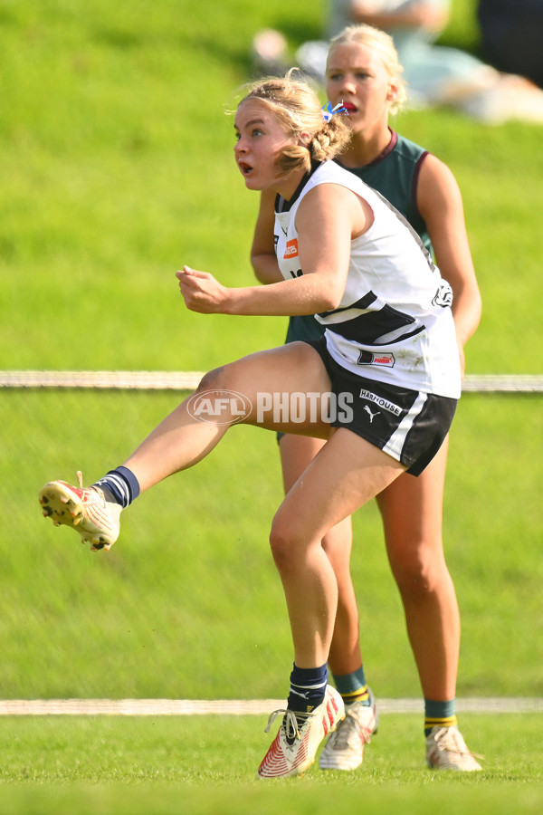 Coates Talent League U18 Girls 2024 Round 08 - Northern Knights v Tasmania Devils - A-49645263