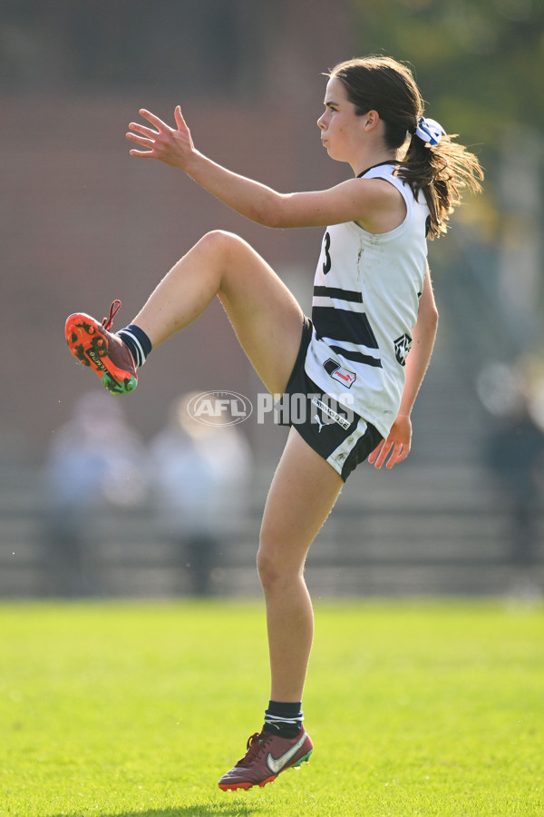 Coates Talent League U18 Girls 2024 Round 08 - Northern Knights v Tasmania Devils - A-49645264