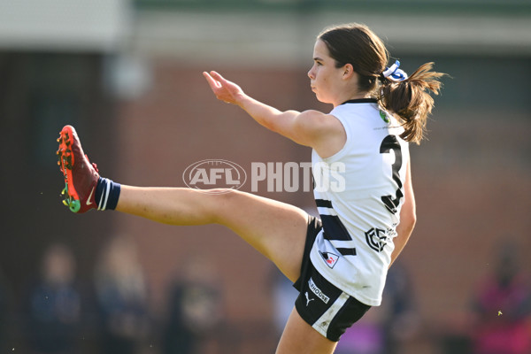 Coates Talent League U18 Girls 2024 Round 08 - Northern Knights v Tasmania Devils - A-49645266