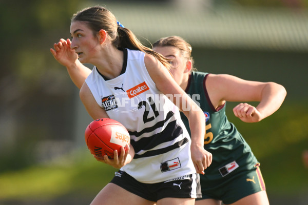 Coates Talent League U18 Girls 2024 Round 08 - Northern Knights v Tasmania Devils - A-49645267