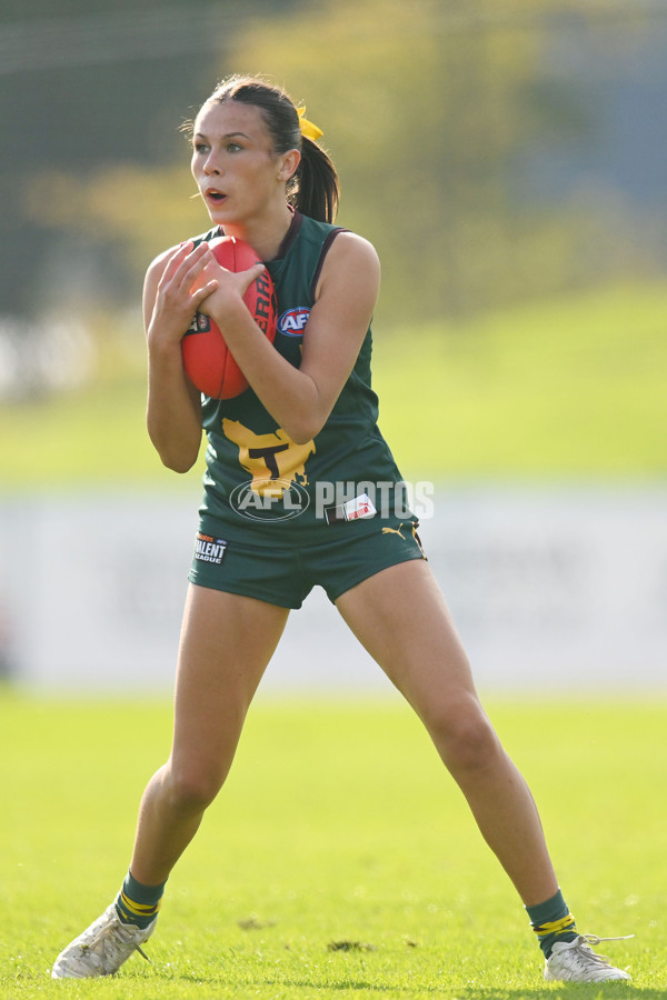 Coates Talent League U18 Girls 2024 Round 08 - Northern Knights v Tasmania Devils - A-49645269