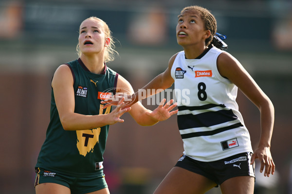 Coates Talent League U18 Girls 2024 Round 08 - Northern Knights v Tasmania Devils - A-49645270