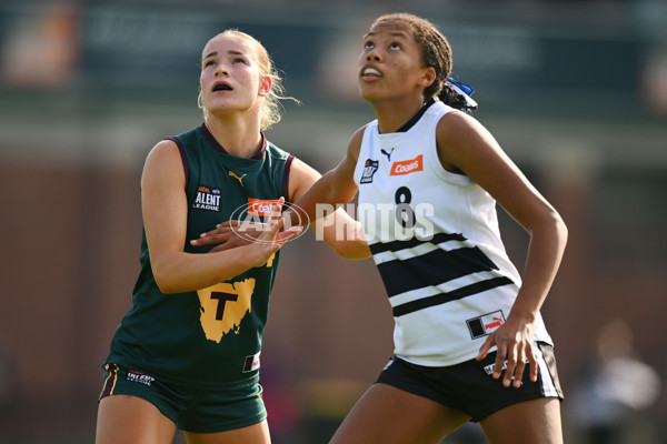 Coates Talent League U18 Girls 2024 Round 08 - Northern Knights v Tasmania Devils - A-49645271