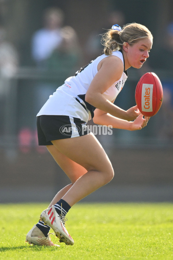 Coates Talent League U18 Girls 2024 Round 08 - Northern Knights v Tasmania Devils - A-49645448