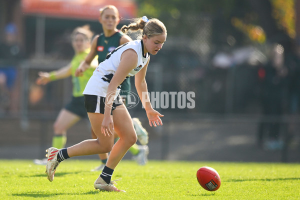 Coates Talent League U18 Girls 2024 Round 08 - Northern Knights v Tasmania Devils - A-49645449