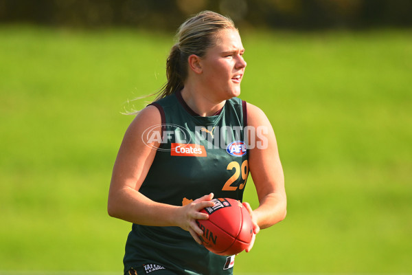 Coates Talent League U18 Girls 2024 Round 08 - Northern Knights v Tasmania Devils - A-49645451