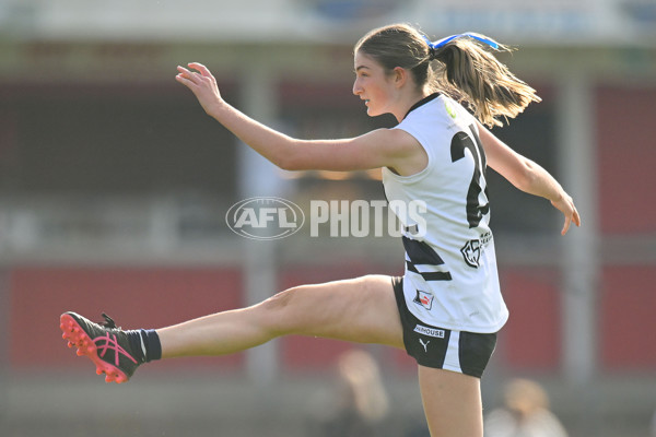 Coates Talent League U18 Girls 2024 Round 08 - Northern Knights v Tasmania Devils - A-49645453